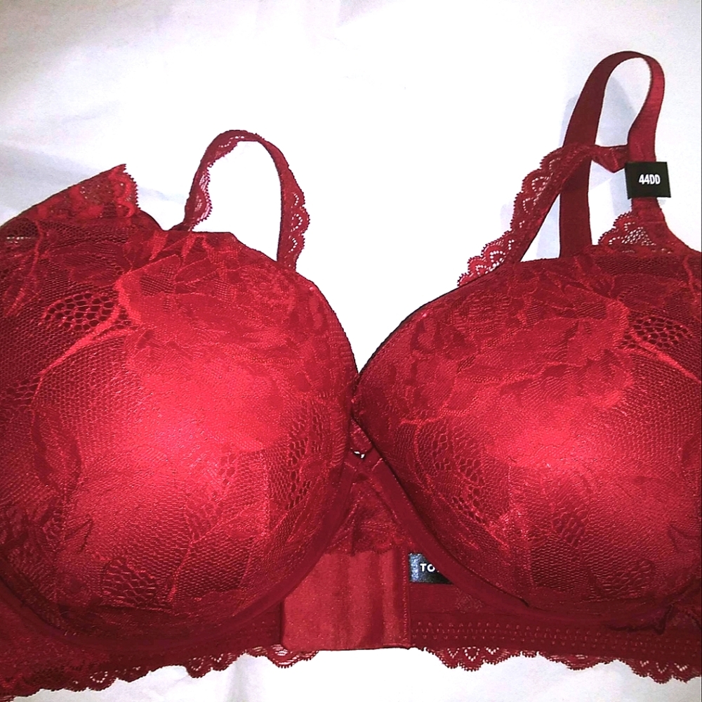 Torrid red lace push up plunge bra 44DD